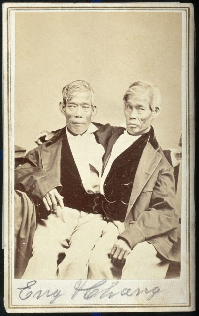 Photograph of Chang and Eng from 1860