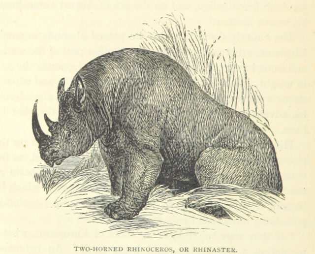 Image taken from page 268 of ‘Great African Travellers from Mungo Park to Livingstone and Stanley, etc’. Photo credit