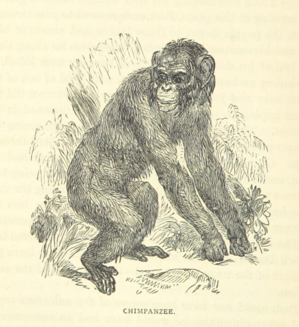 Image taken from page 84 of ‘Great African Travellers from Mungo Park to Livingstone and Stanley, etc’.. Photo credit