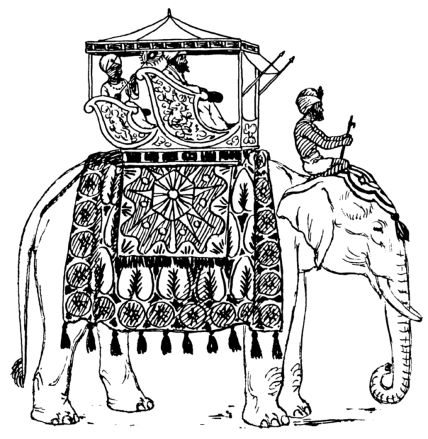 Indian styled elephant with howdah