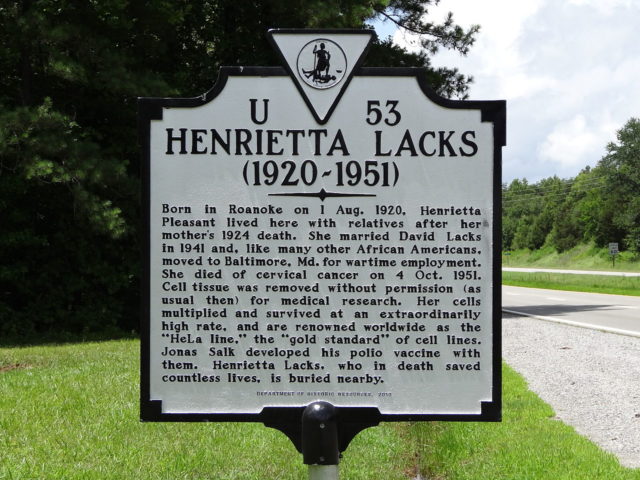 A historical marker in the memory of Henrietta Lacks (Clover, Virginia) / Photo credit