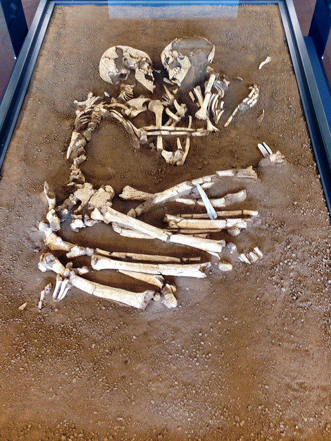 The pair of skeletons dates back 6, 000 years. Photo Credit