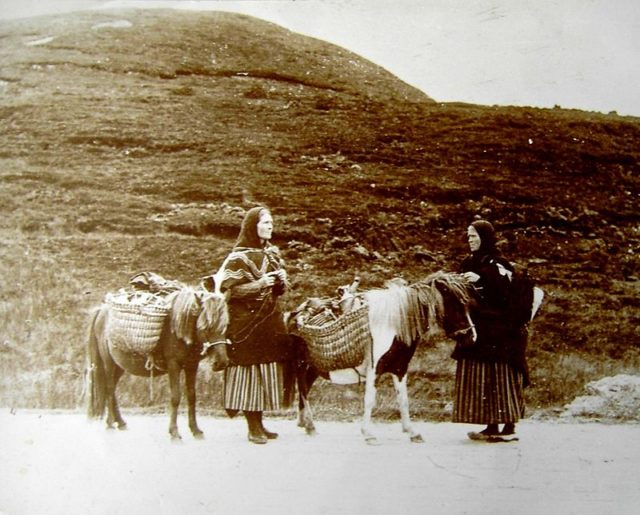 Two women of the Shetland Isles with ponies: the photograph was taken about 1900. Photo Credit