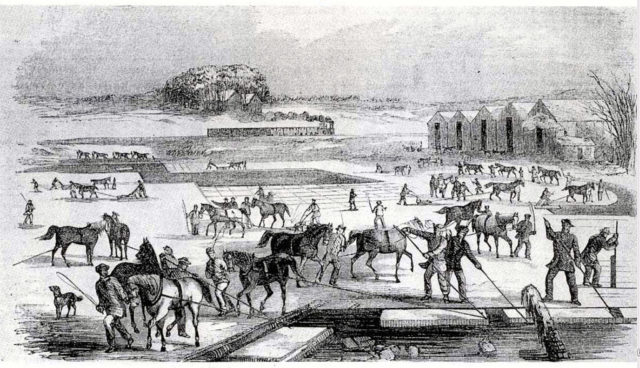 Ice harvesting at Spy Pond, Arlington, Massachusetts, 1852, showing the railroad line in the background, used to transport the ice.