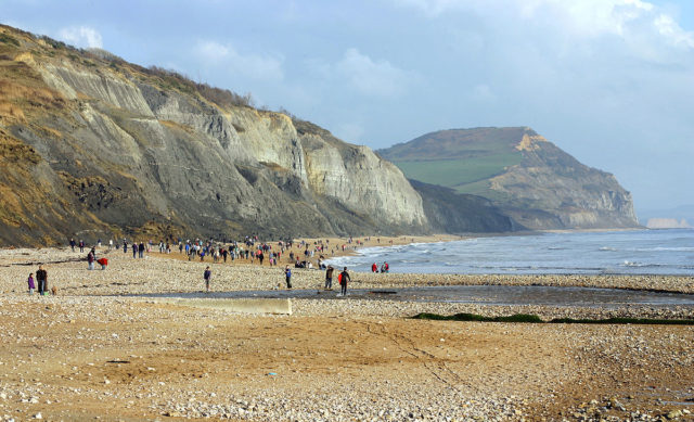 The Jurassic Coast at Charmouth, Dorset, England where Mary Anning discovered large reptilian fossils in the shales of Black Ven. Photo credit: Kevin Walsh