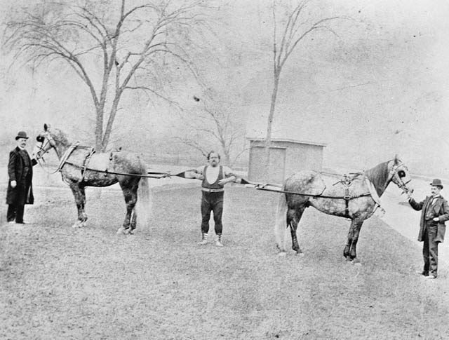 Louis Cyr ready to restrain horses, 1891.