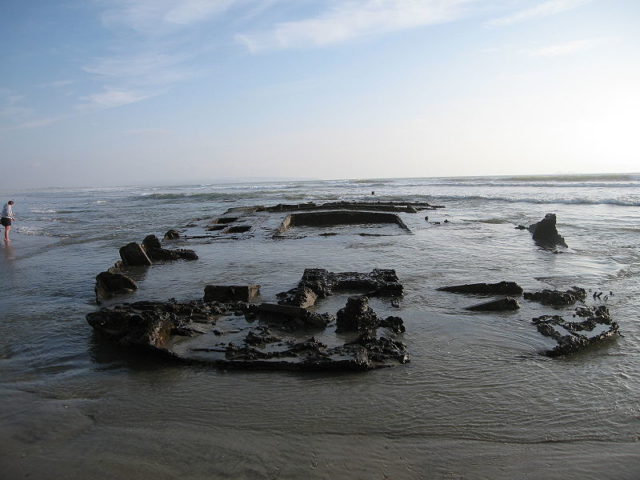 SS Monte Carlo wreck 30 January 2010. Photo Credit