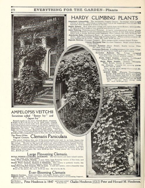 Everything for the garden, 1915 Garden Stories