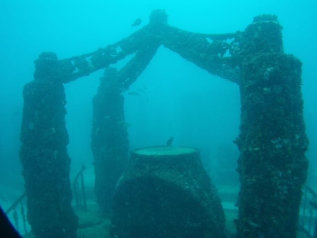 Memorial Reef. Photo Credit