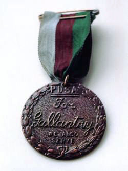 The PDSA Dickin Medal, instituted in 1943 in the United Kingdom by Maria Dickin to honor the work of animals in World War II.