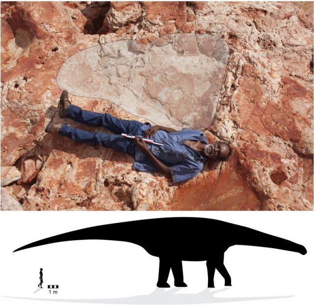 Richard Hunter with giant sauropod track Photo Credit: Dr Steve Salisbury Salisbury et al./Journal of Vertebrate Paleontology (2017)