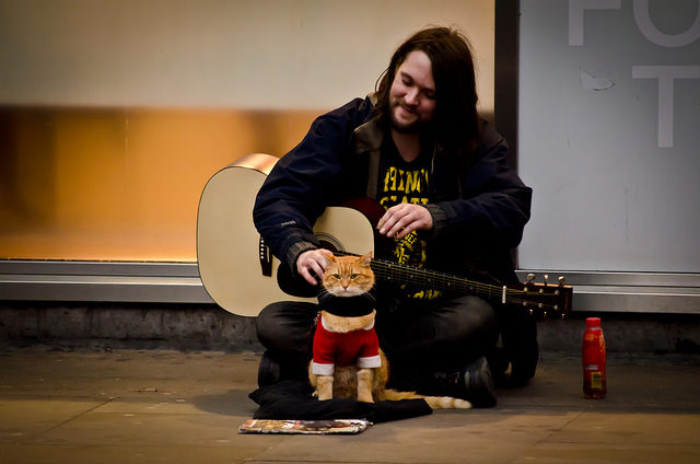 Bob the Cat and his friend, the busker James Bowen, performing in the streets of London. Bob later  played himself in the movie “A Street Cat Named Bob” based on his friend’s best selling autobiography. Author, Garry Knight, CC BY 2.0