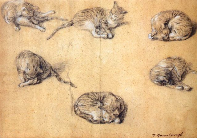 Some purrfect artwork: Thomas Gainsborough – Six studies of a cat