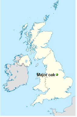 Major oak location in UK