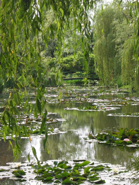 Monet’s garden at Giverny, May 2002