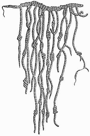 Representation of a quipu (1888)