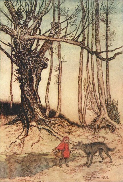 “Little Red Riding Hood” illustration by Arthur Rackham.