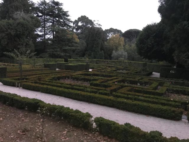 The garden of Casa de Serralves