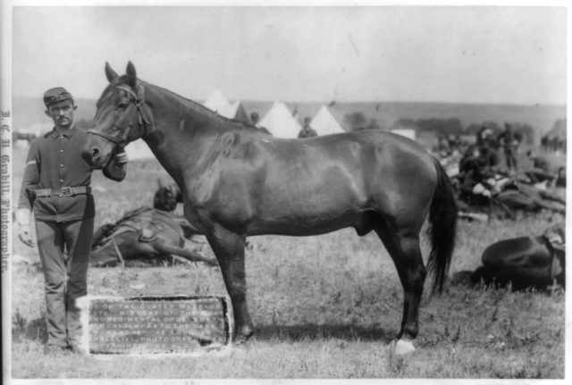 Comanche in 1887, photographed by John C. H. Grabill