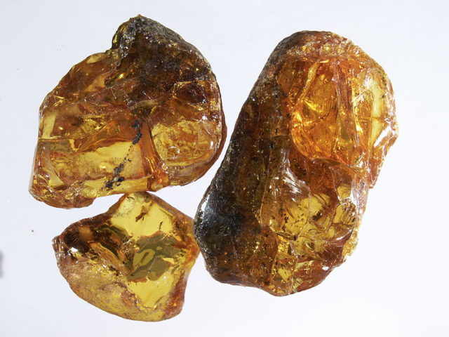 Amber from Bitterfeld. Author: Roland Fuhrmann – CC BY-SA 3.0
