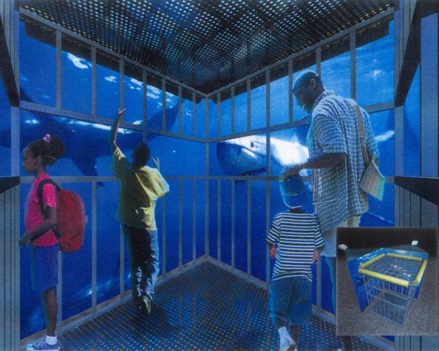 Shark Cage Rendering.  Author: Lu Liu