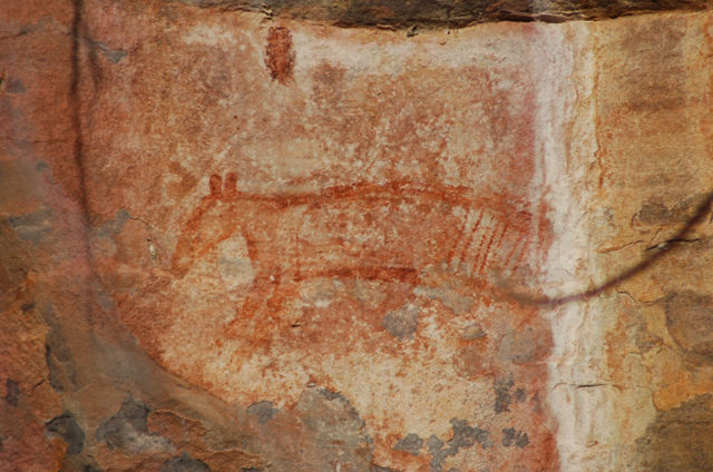 Thylacine rock art at Ubirr Author nettispaghetti CC BY-SA 2.0