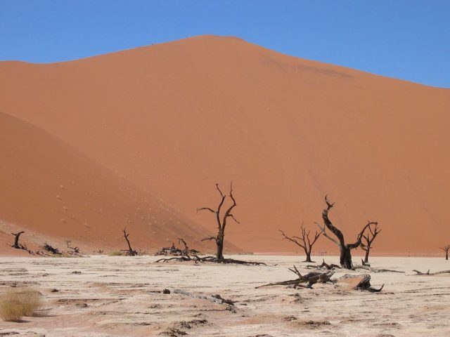 Photo of supposedly the highest dune of the world   Author:  Harald Süpfle  CC BY-SA 2.5