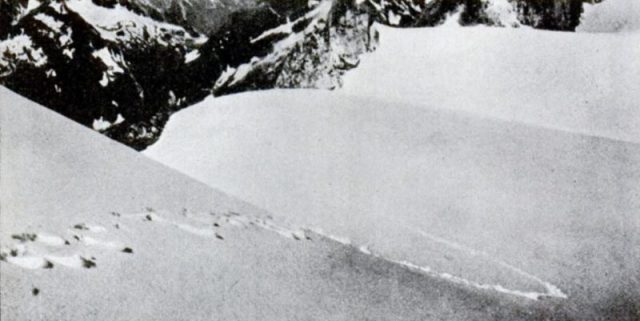 1937 Frank S. Smythe photograph of alleged Yeti footprints by was printed in Popular Science, 1952