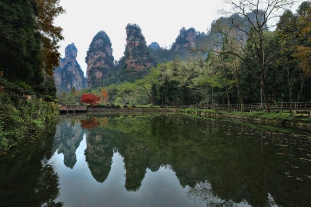 Beautiful Landscape Inside Zhangjiajie National Park China