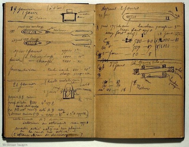 Marie Curie’s notebook. Photo: Wellcome Images CC BY-SA 4.0