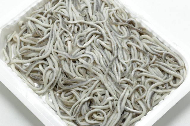Uncooked Elvers (baby eels) in plastic tray isolated on white