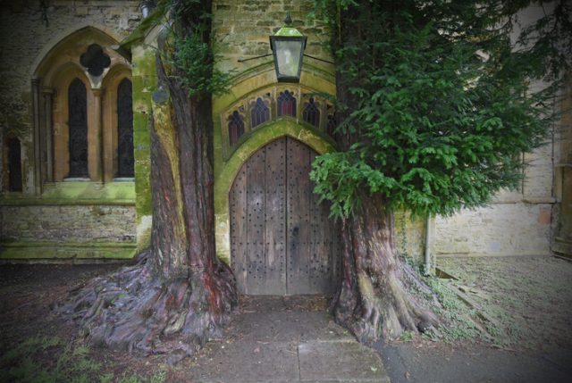 A very old English village church door with yew trees (probably as old as the church) growing around and into the masonry. The thousand-year-old building was reputed to have inspired author Tolkien who lived in nearby Oxford.