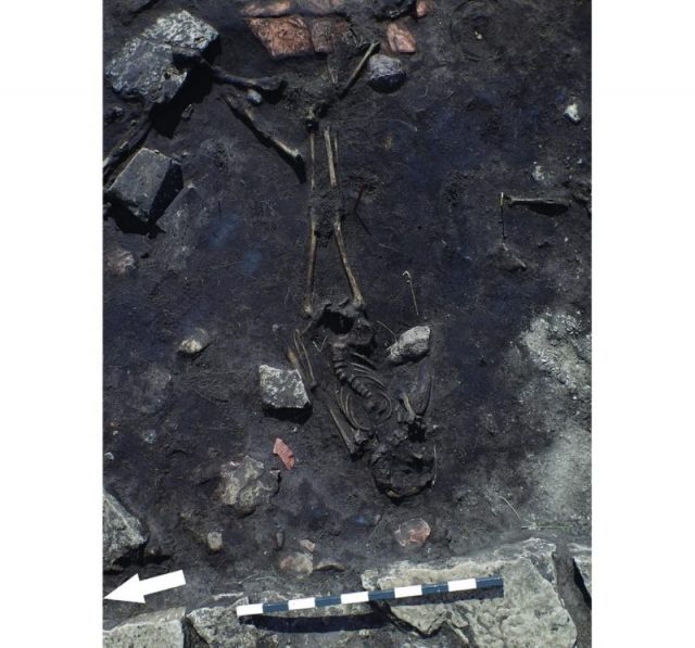 The skeletal remains of two individuals inside house 40. Photo: Kalmar County Museum.
