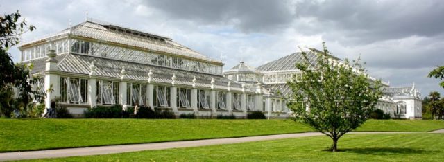Temperate House in Kew Gardens