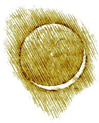 Sketch by Leonardo da Vinci of Earthshine