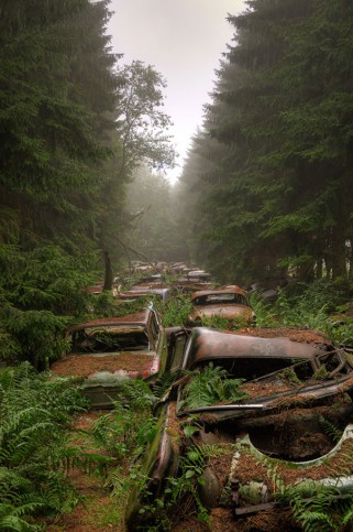 Belgian Forest Hides Apocalyptic Car cemetery of 1940's & 50's - The