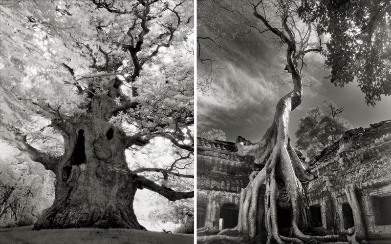 Photohgraphy by Beth Moon