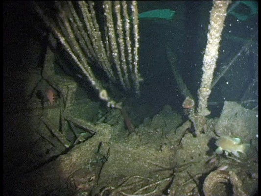 The wreck of U-Boat 89. The U-Boat Hunter Dr Innes McCartney takes us down