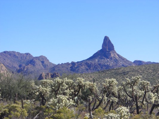 In many versions of the story, Weaver's Needle is a prominent landmark for locating the lost mine. source