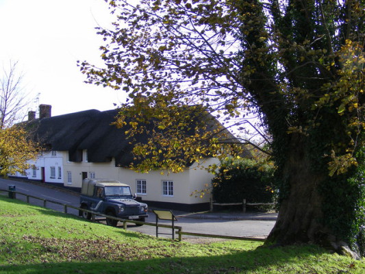 The Green at Tolpuddle. It is believed that whilst sitting under this sycamore tree, the six Tolpuddle Martyrs agreed to form a trade union. source