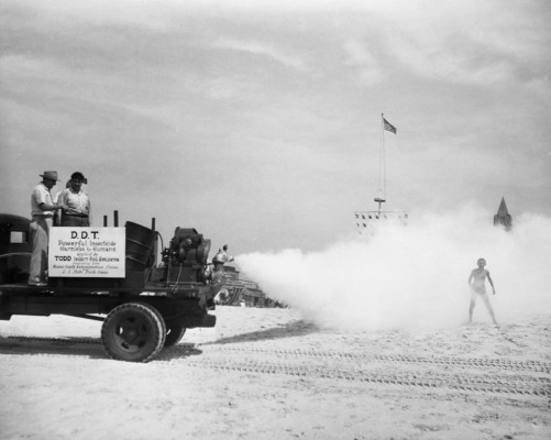 Mosquito control, Jones Beach State Park, Long Island, 1945 Photo: Bettmann/Corbis. source