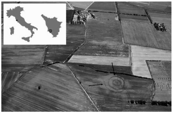 Tuscany. The lowland of Scarlino. Oblique aerial photographs of a distinct archaeological cropmark. source