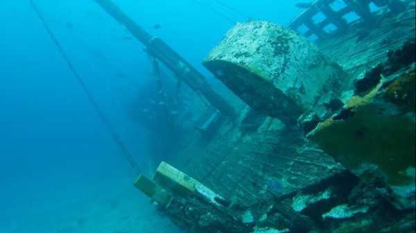Wooden shipwreck, Bonaire. Andrew Jalbert Thinkstock