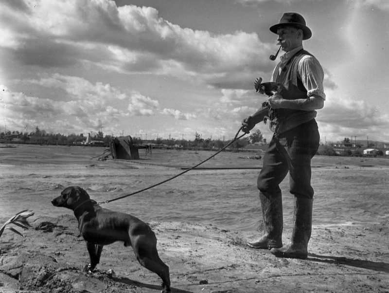 March 5, 1938 Henry Cooper with a dog and rooster, all that was saved from Earl Callan's home, part of which can be seen in the Los Angeles River in the background.