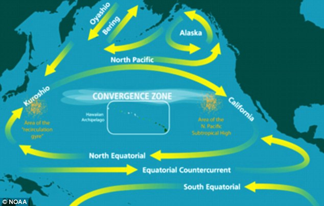 The graphic shows the currents in the Pacific Ocean that will push the debris around from Japan to the U.S. West Coast and then back again