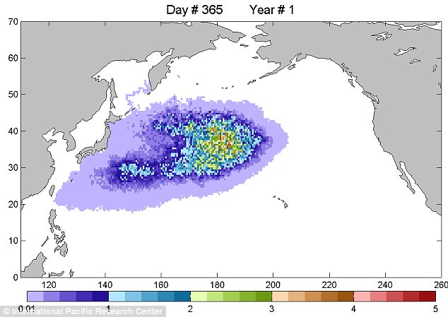 This graphic depicts the predicted location of the Japan debris field as it swirls towards the U.S. West Coast. Scientists predict the first bits of rubbish will wash up  