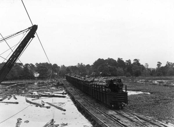 Log train waiting to be unloaded into yard pond near Lee Tidewater Cypress Company mill - Perry, Florida