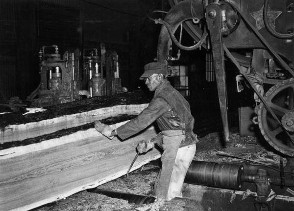 A worker operates tripper taking off plank at Lee Tidewater Cypress Company mill - Perry, Florida