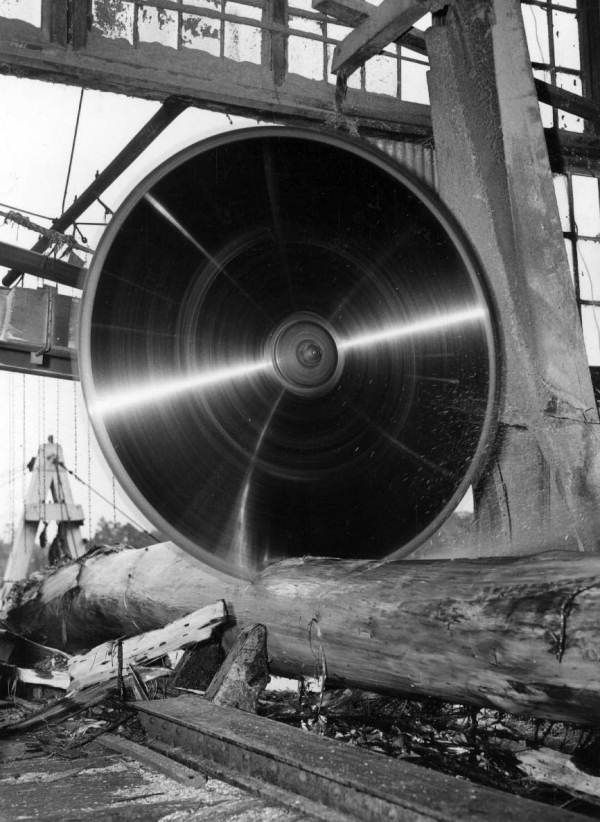 Big circular saw cutting log at Lee Tidewater Cypress Company mill - Perry, Florida