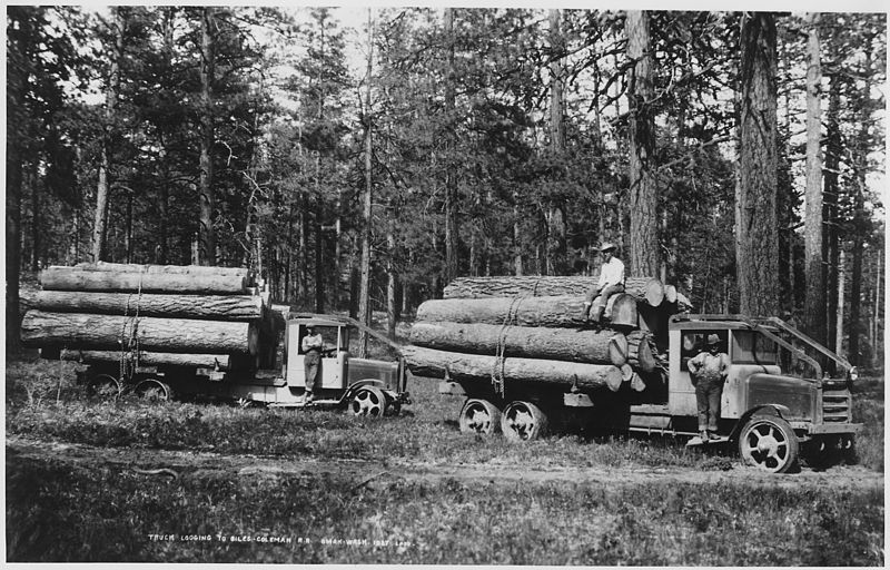 Solid-tired Moreland logging trucks of Biles Coleman Lumber Co. on the Moses Mountain logging unit. These were the first successful logging trucks in the area. source